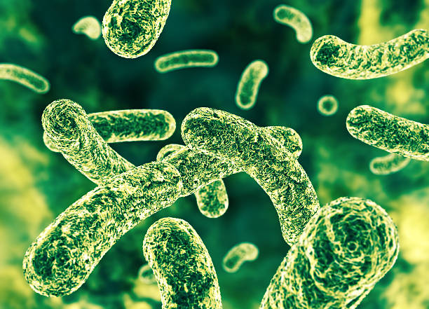 Segnali di un microbiota squilibrato
